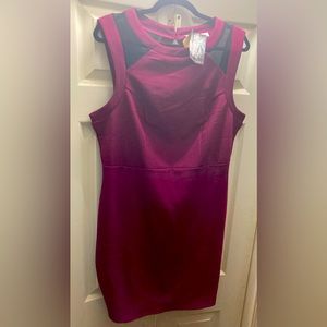 NWT Boutique Mini Dress Maroon